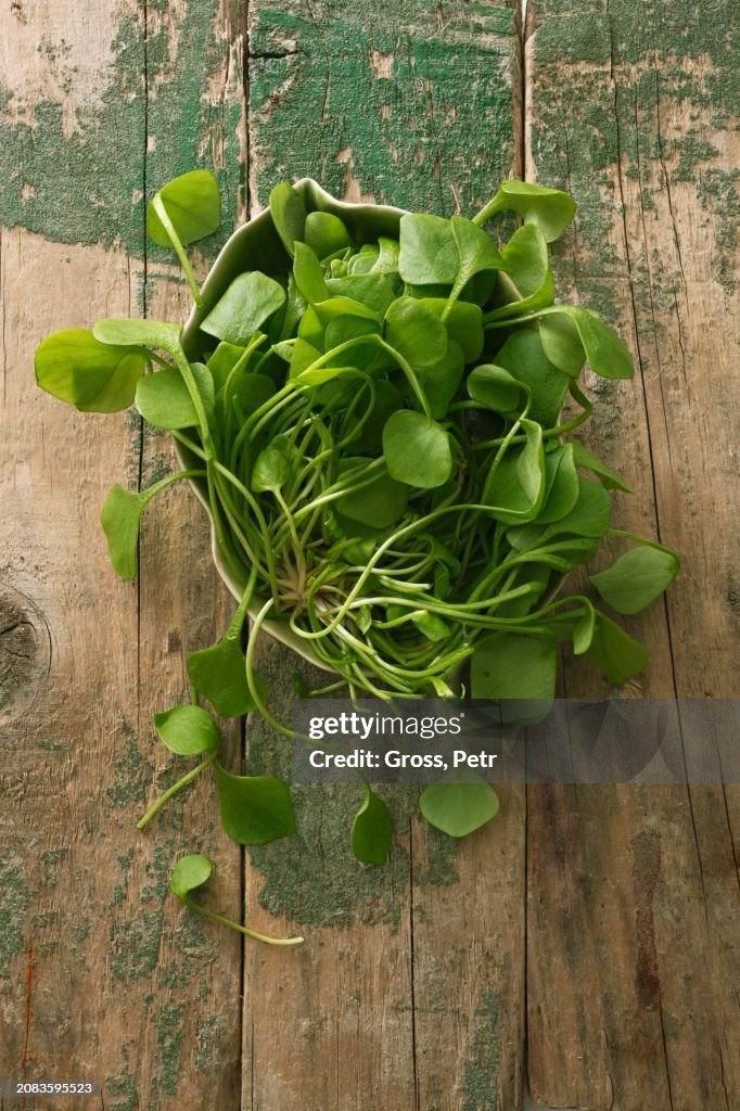Purslane on a wooden surface