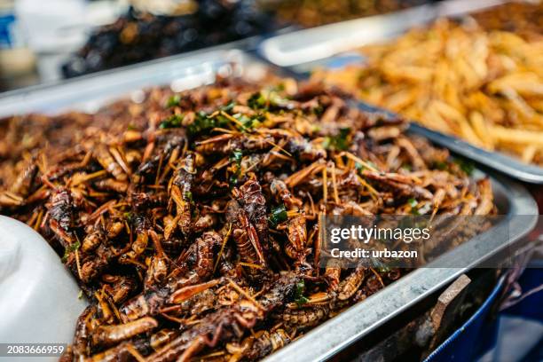 Roasted Grasshoppers Being Sold On The Street Market In Bangkok In Thailand