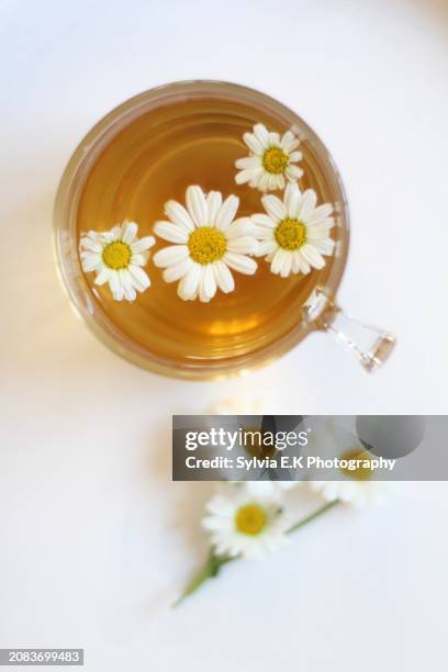 camomile tea in a glass cup (seen from above) - camomille stock pictures, royalty-free photos & images