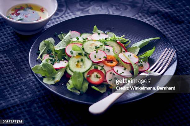 cucumber salad with radish and pepper - radish vinaigrette stock pictures, royalty-free photos & images