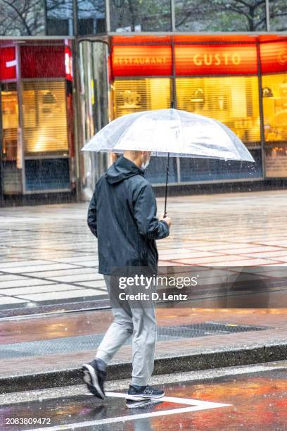 walking in the rain - faze rug stockfoto's en -beelden