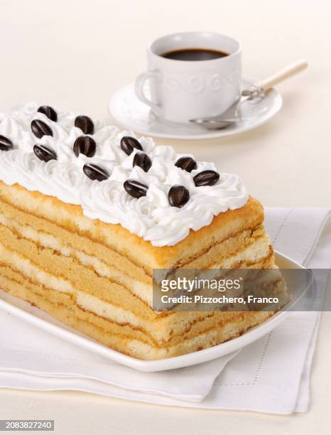 pangelato (italian ice cream cake) - gelado de café imagens e fotografias de stock