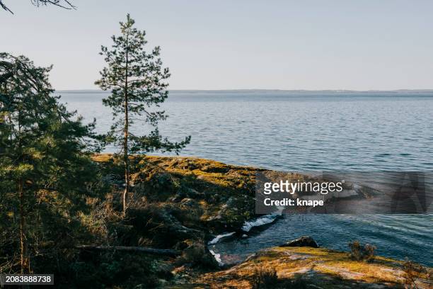 sunny day on shore of lake vättern in sweden - lac vattern photos et images de collection