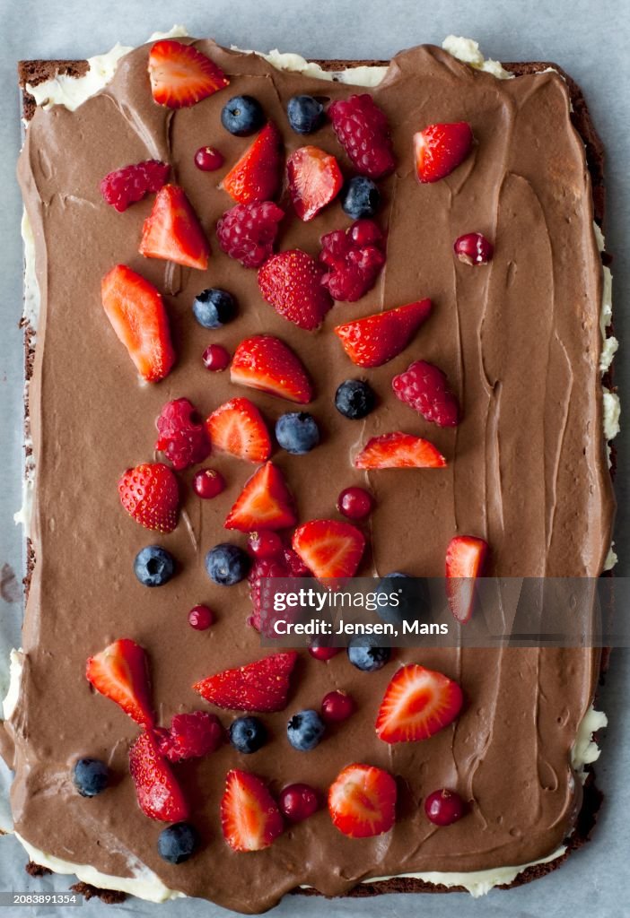Fresh summerberrys on chocolate mousse cake bottom