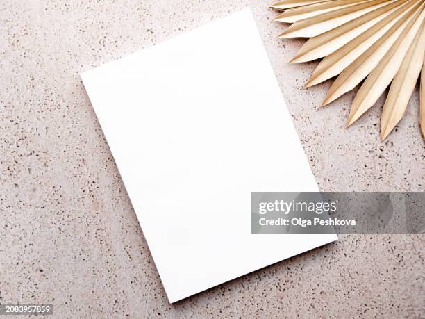 empty blank white magazine cover mock up and dried palm leaf on light texture background - portfolio template stock pictures, royalty-free photos & images