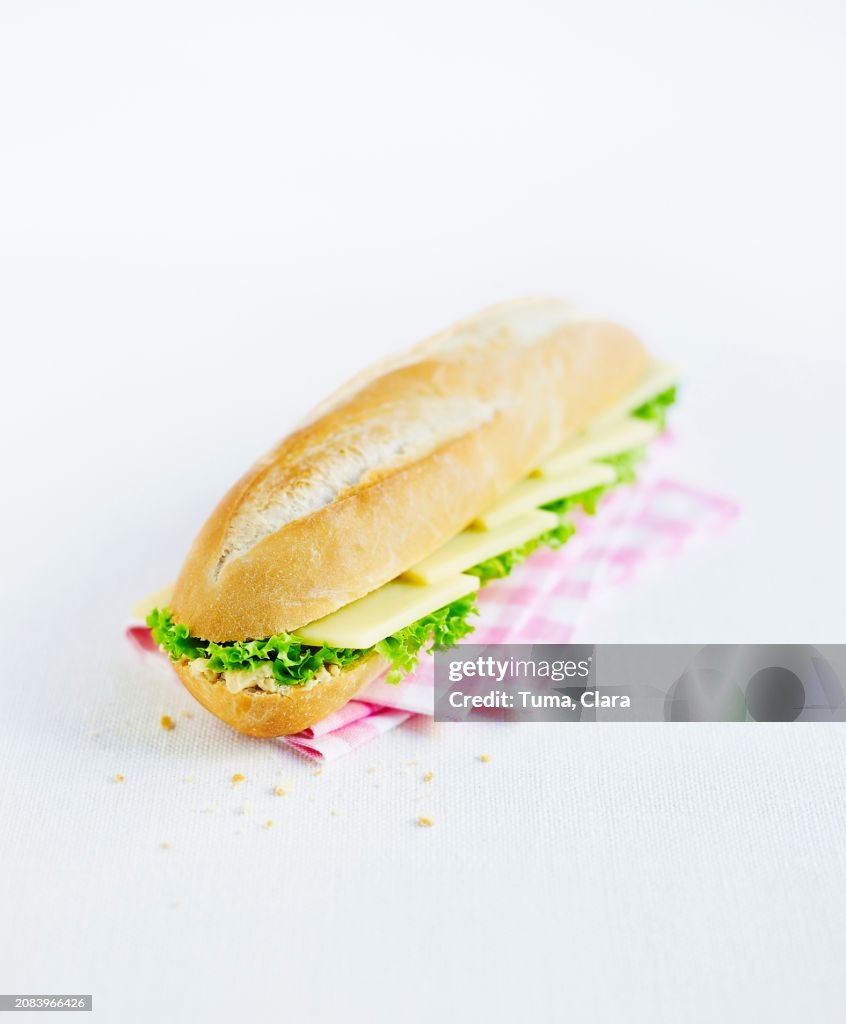 Cheese sandwich with lettuce