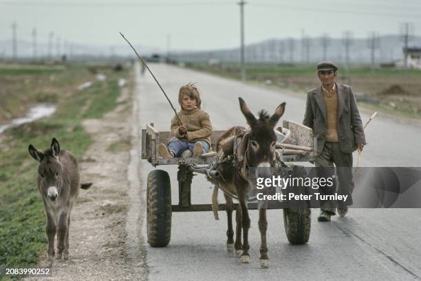 Boy riding in a donkey cart, accompanied by an older man on foot and a donkey foal walking alongside, Albania, March 1992.
