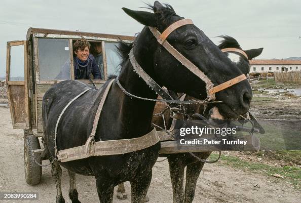 Man Riding In Horse-Drawn Cart