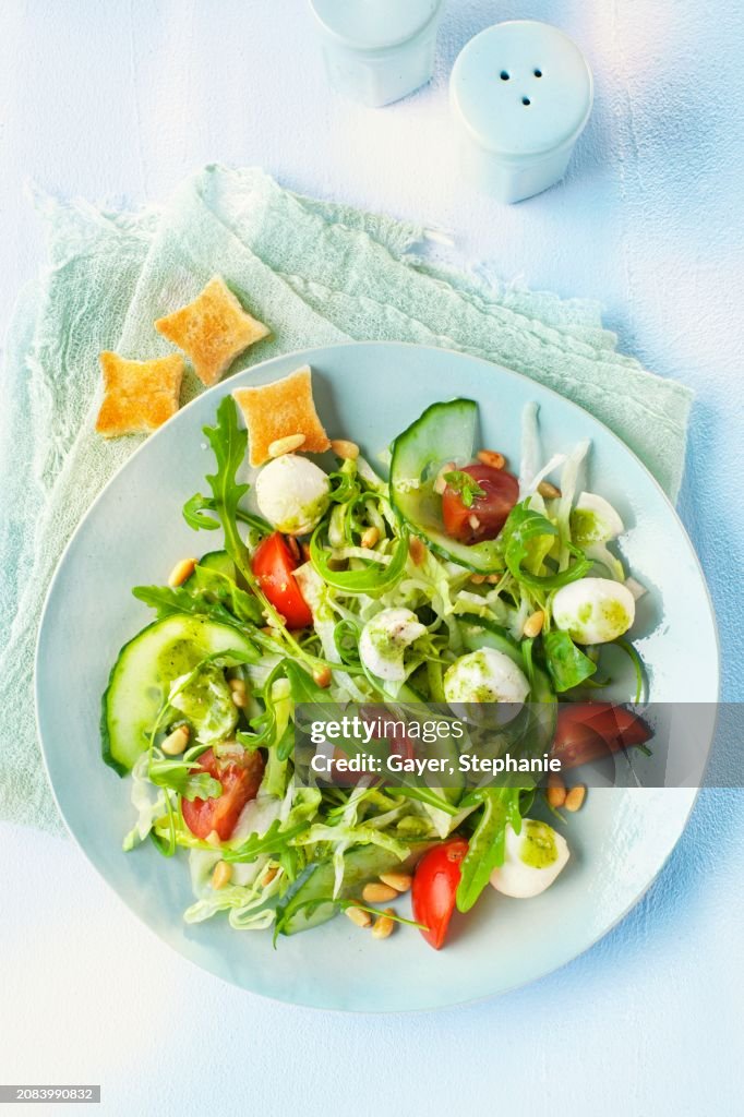 Rocket salad with mozzarella, cucumber and tomato