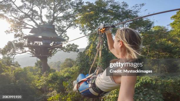 dawn glide: woman zip-lining through laos' tropical rainforest - adrenaline stockfoto's en -beelden