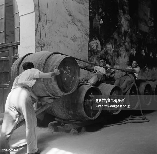 Staff rolling up heavy butts of Fino Marismeño sherry with ropes at a bodega, Jerez de la Frontera, Spain, circa 1945.