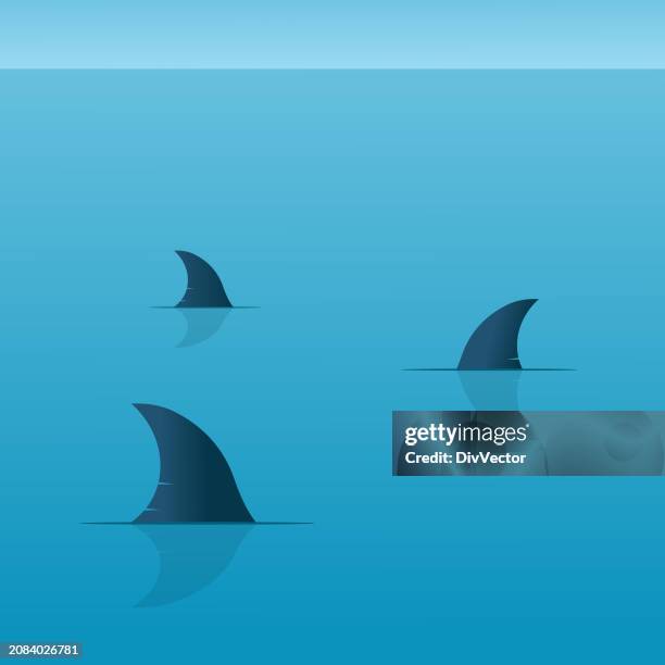 haie vektor-illustration - flosse stock-grafiken, -clipart, -cartoons und -symbole
