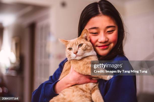 cheerful teenage girl cuddling with her ginger tabby cat at home - cat family stock pictures, royalty-free photos & images