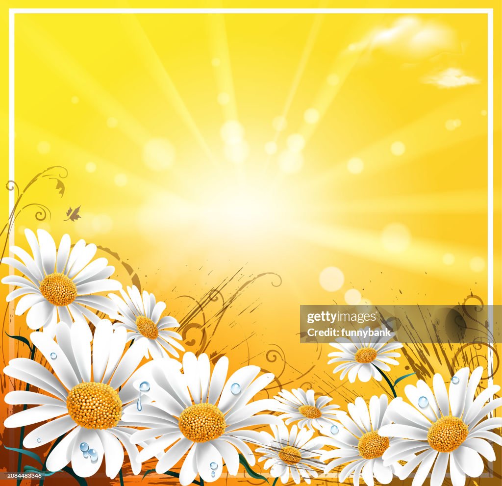 Spring Grafic Simple Spring High-Res Vector Graphic - Getty Images