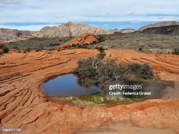 seasonal pool along petrified sand dunes trail, snow canyon state park, utah - utah state parks stock pictures, royalty-free photos & images