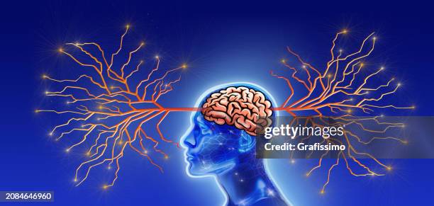 bildbanksillustrationer, clip art samt tecknat material och ikoner med human head with human brain made out of circuit board as brain anatomy - nervcell