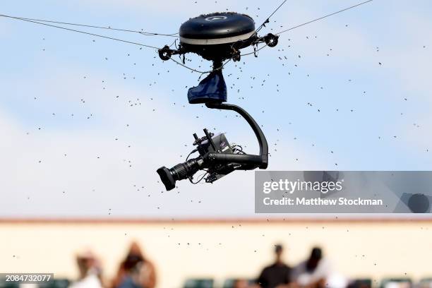 An invasion of bees suspends play between Carlos Alcaraz of Spain and Alexander Zverev of Germany during the BNP Paribas Open at Indian Wells Tennis...