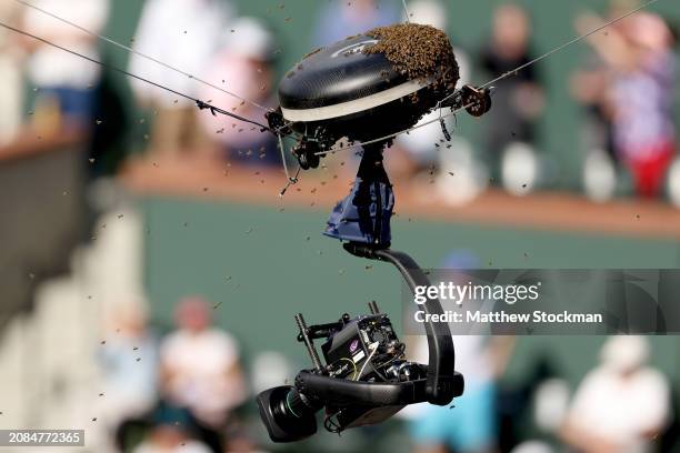 An invasion of bees suspends play between Carlos Alcaraz of Spain and Alexander Zverev of Germany during the BNP Paribas Open at Indian Wells Tennis...