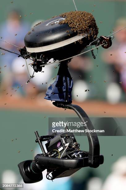 An invasion of bees suspends play between Carlos Alcaraz of Spain and Alexander Zverev of Germany during the BNP Paribas Open at Indian Wells Tennis...