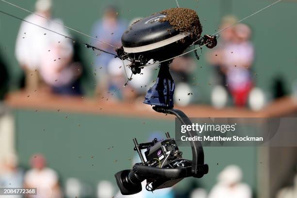 An invasion of bees suspends play between Carlos Alcaraz of Spain and Alexander Zverev of Germany during the BNP Paribas Open at Indian Wells Tennis...