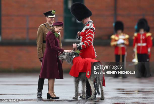 Year-old Irish Wolfhound Seamus, Irish Guards' mascot, with his handler Drummer Ashley Dean receive shamrock from Lady Ghika, wife of the Regimental...