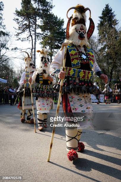 Participants dressed in colorful hand-made costumes and masks attend Mask Festival 'Kukerlandia' in Yambol town of Bulgaria on March 17, 2024....