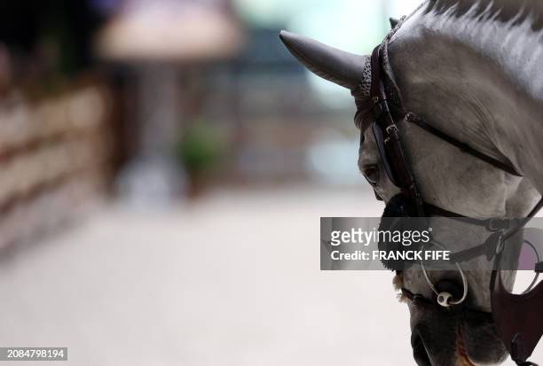 Rider arrives for the "Grand Prix Hermes CSI 5" International Jumping Competition at the Grand Palais Ephemere in Paris, on March 17, 2024.