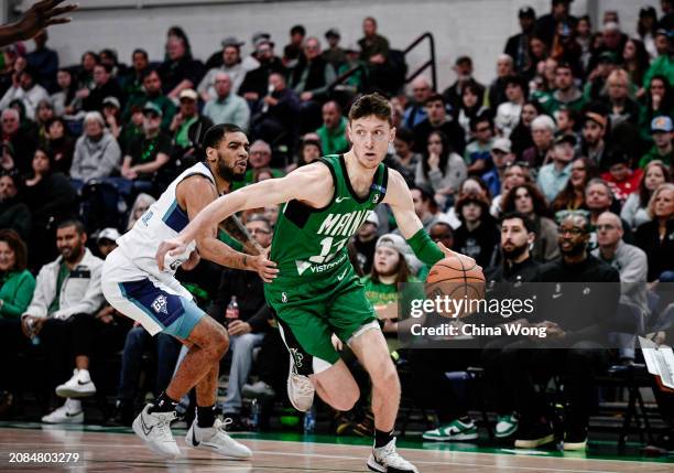 March 17: Drew Peterson of the Maine Celtics handles the ball during the game against the Greensboro Swarm on March 17, 2024 at Portland Expo Center...