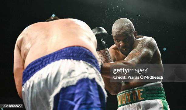 Mayo , Ireland - 17 March 2024; Dillian Whyte, right, in action against Christian Hammer during their heavy weight bout at TF Royal Theatre in...