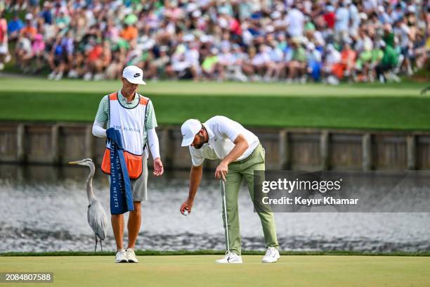 Scottie Scheffler hands his ball to caddie Ted Scott on the 17th hole green as a great blue heron stands behind during the final round of THE PLAYERS...