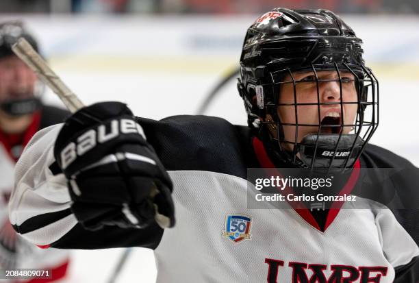 Holly Eckers of Wisconsin-River Falls Falcons celebrates after scoring a goal in the third period during the Division III Women's Ice Hockey...