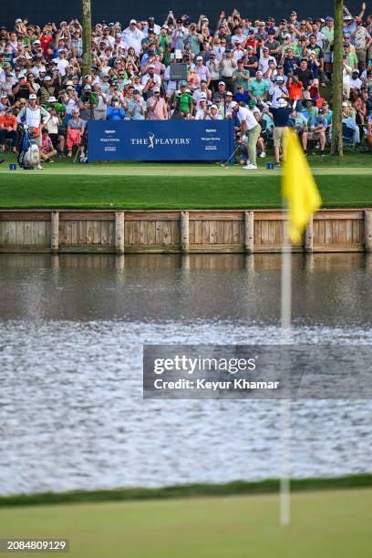 Scottie Scheffler plays his shot from the 17th tee as fans watch during the final round of THE PLAYERS Championship on the Stadium Course at TPC...