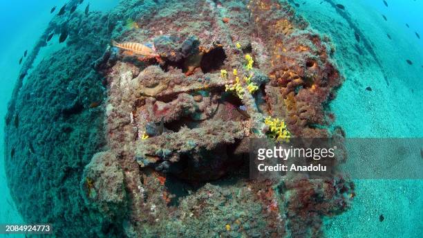 View of British Royal Navy submarine 'HMS E14' sunk during the Battle of Gallipoli, covered in moss as it has been laying underwater for decades at...