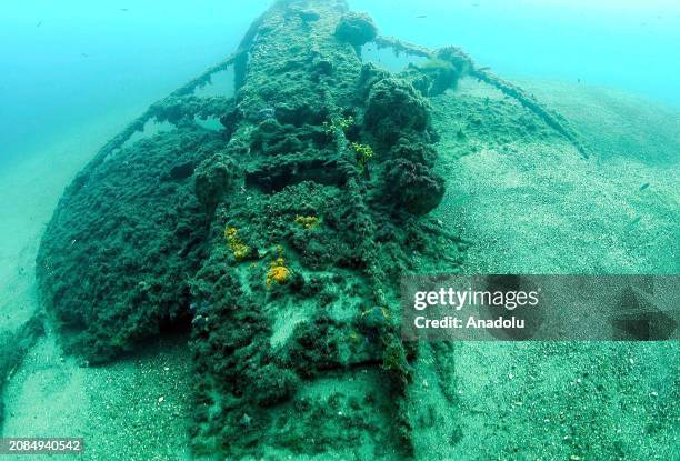 View of British Royal Navy submarine 'HMS E14' sunk during the Battle of Gallipoli, covered in moss as it has been laying underwater for decades at...