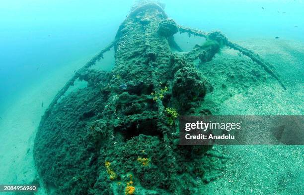 View of British Royal Navy submarine 'HMS E14' sunk during the Battle of Gallipoli, covered in moss as it has been laying underwater for decades at...