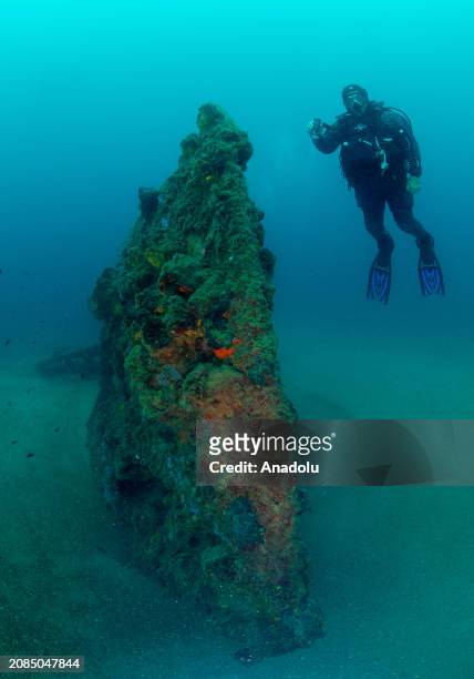 Divers swim around the British Royal Navy submarine 'HMS E14' sunk during the Battle of Gallipoli, covered in moss as it has been laying underwater...