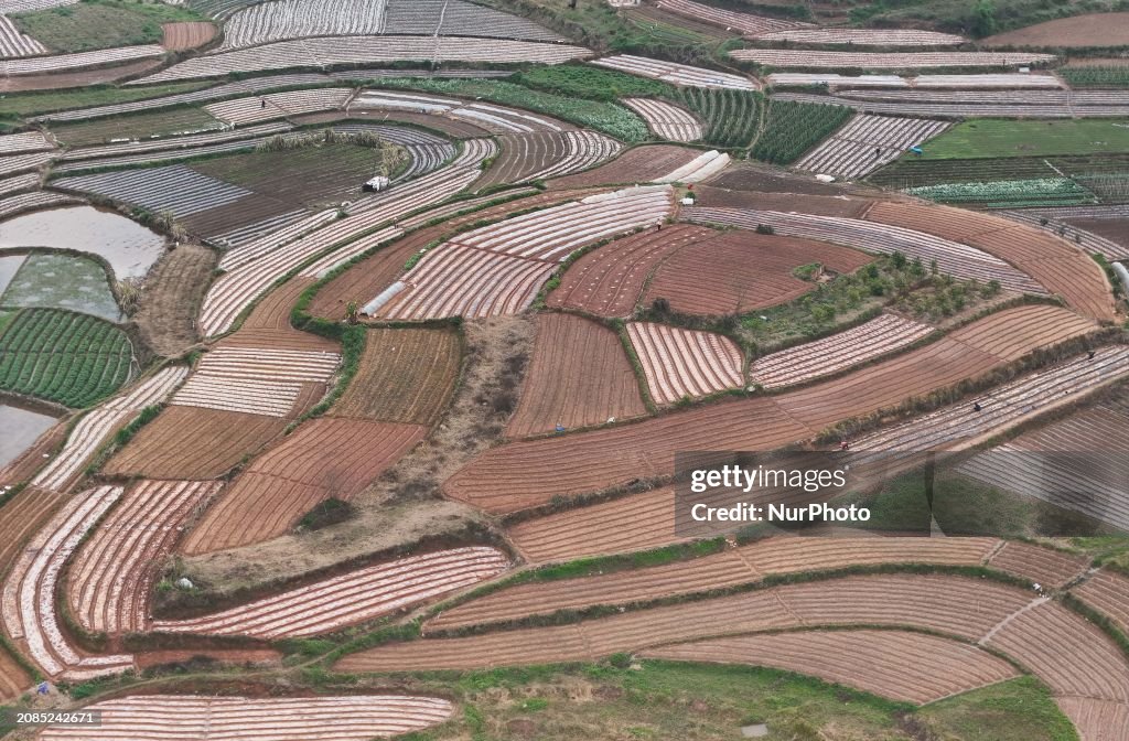 An aerial photo is showing layered rice terraces in Nanning, South ...