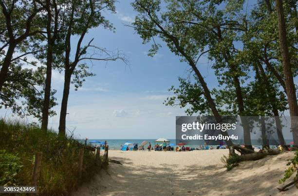 parque provincial playa de los bancos de arena - sandbanks provincial park fotografías e imágenes de stock