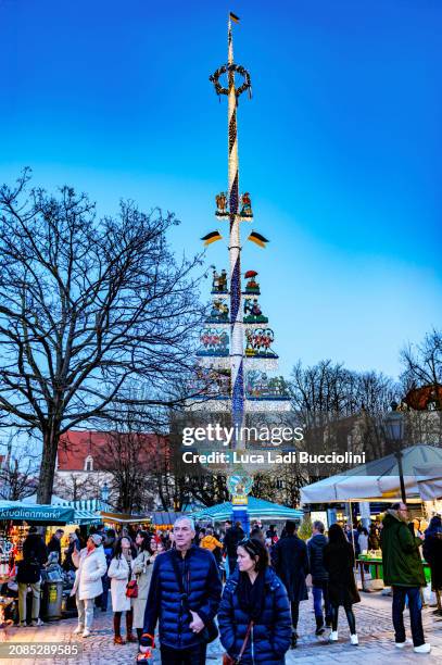 bavarian maibaum or maypole in viktualienmarkt of munich, germany - maibaum münchen stock pictures, royalty-free photos & images