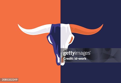Bull skull Bull skull
