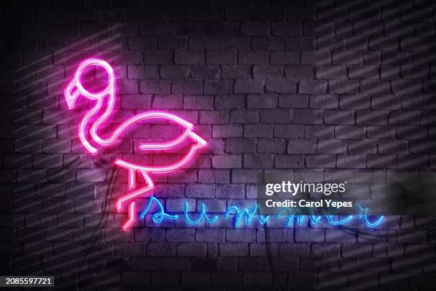 summer text in pink neon lights - beach stock illustrations stock pictures, royalty-free photos & images