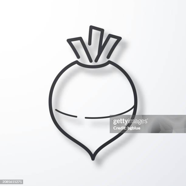 rutabaga. line icon with shadow on white background - rutabaga stock illustrations