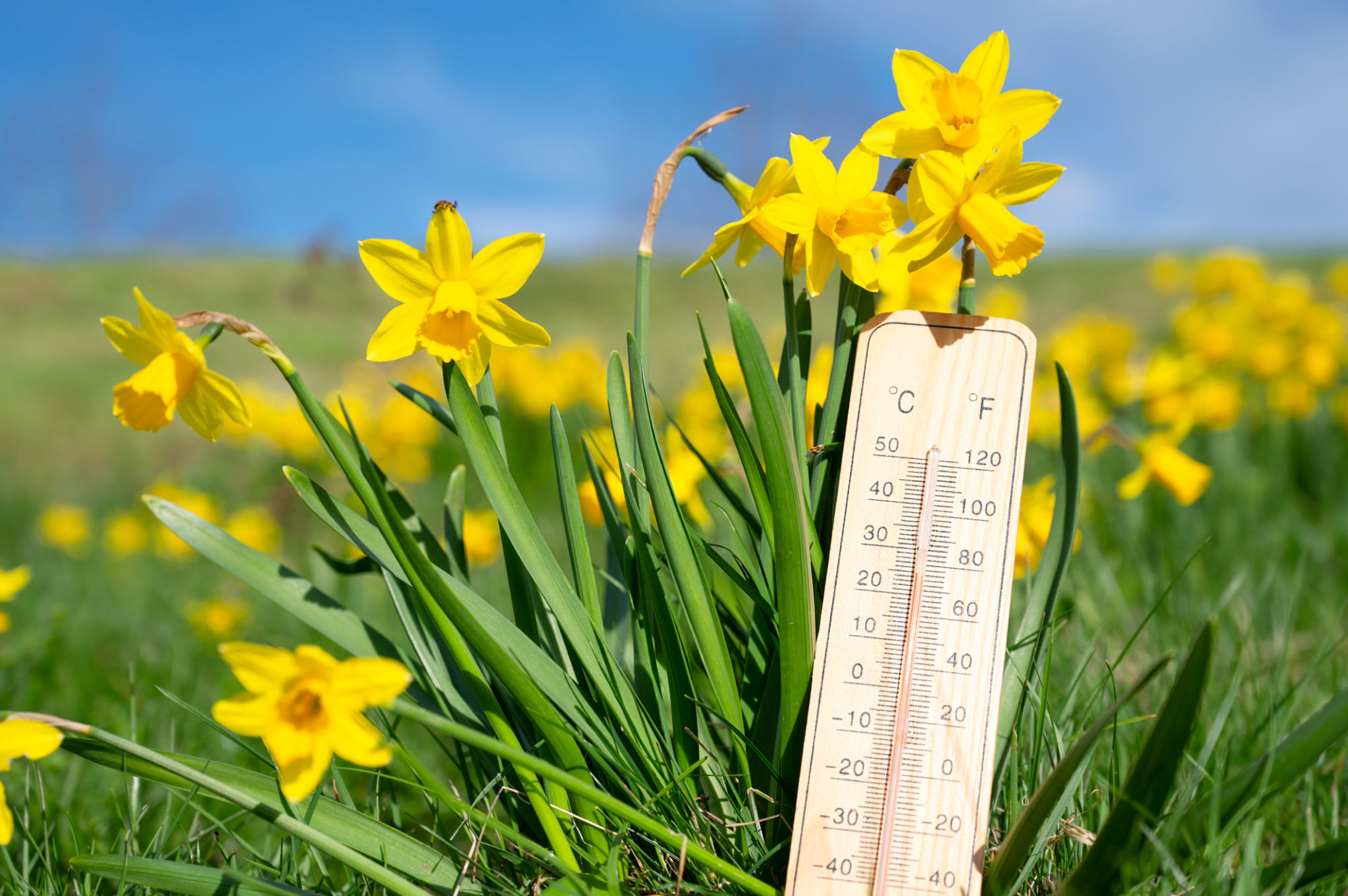 spring weather