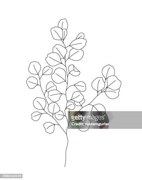 eucalyptus drawing mono line. continuous line icon on white background. - bay leaf stock illustrations