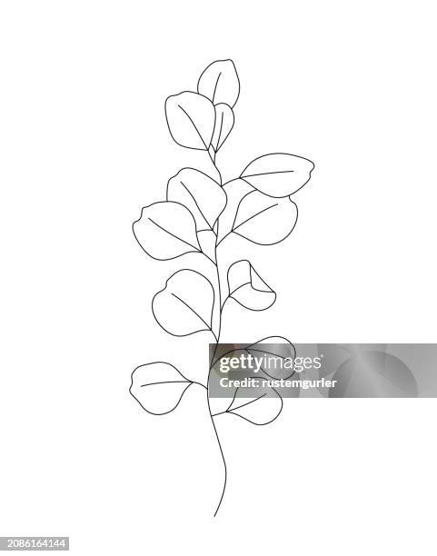 eucalyptus drawing mono line. continuous line icon on white background. - bay leaf white background stock illustrations