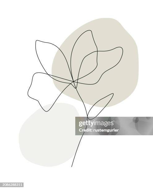 flower drawing mono line. continuous line icon on white background. - bay leaf white background stock illustrations
