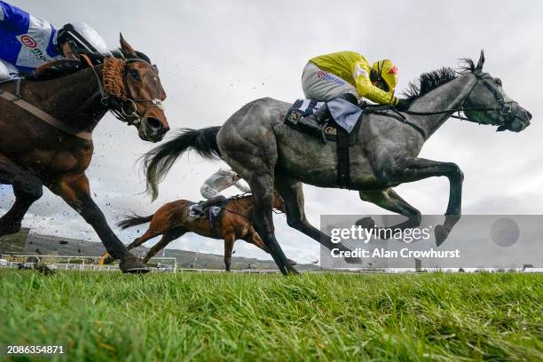 General view as runners race to the finish during The BetMGM County Handicap Hurdle during day four of the Cheltenham Festival 2024 at Cheltenham...