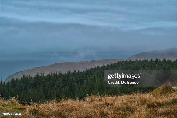 old man of storr, scotland - chemin de terre stock-fotos und bilder