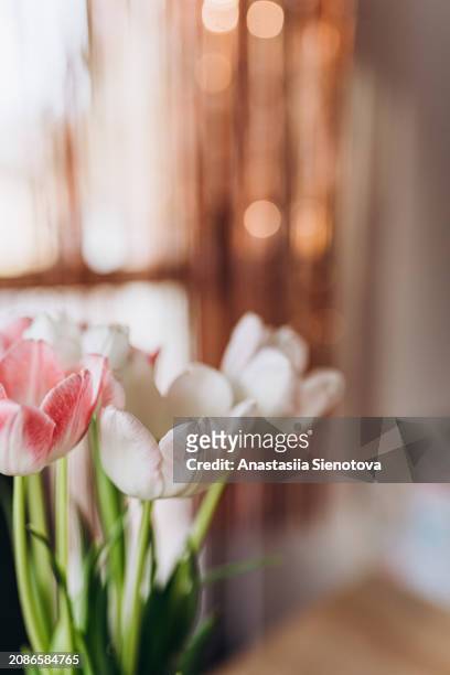 bouquet of tulips at home - buds stock pictures, royalty-free photos & images