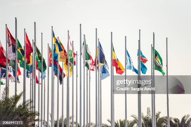 national flags in doha - all middle eastern flags stock pictures, royalty-free photos & images